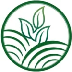 Landscapekita
